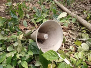 錯屎 1 破舊喇叭