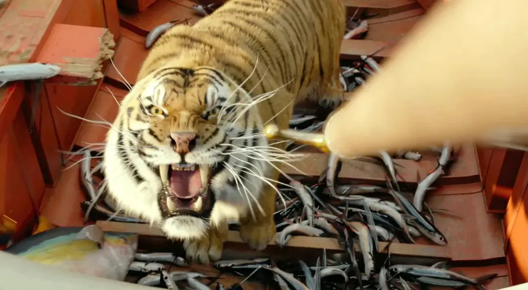 《少年Pi的奇幻漂流》:你想聽一個怎樣的故事 3 compresslife of pi3 《少年Pi的奇幻漂流》:你想聽一個怎樣的故事