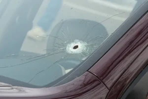 Renee good car Law Enforcement Power in the U.S.: Reflections on the Shooting of Renée Good